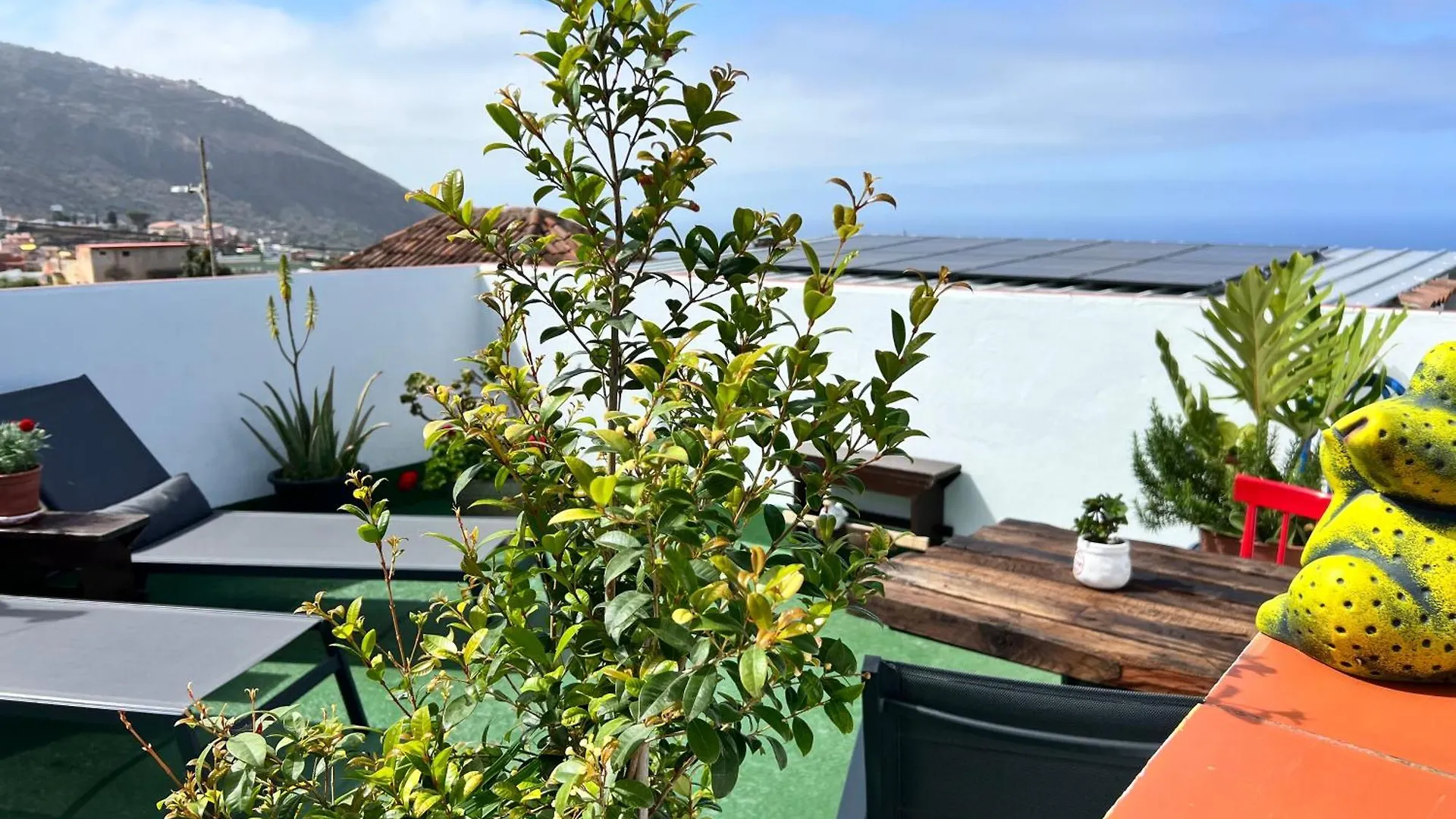 The Little Casita Tedera Tenerife لوس رياليخوس إسبانيا